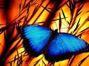 Dejar gusano