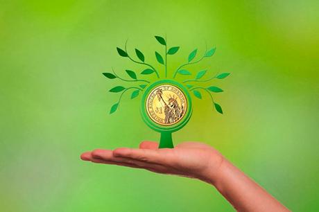 Opciones de negocio e inversión Opciones de negocio e inversión