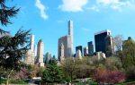 imprescindibles en nueva york