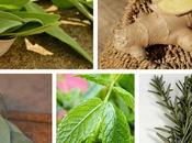 Plantas para disminuir triglicéridos