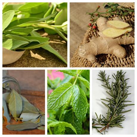 Plantas para disminuir los triglicéridos Plantas para disminuir los triglicéridos