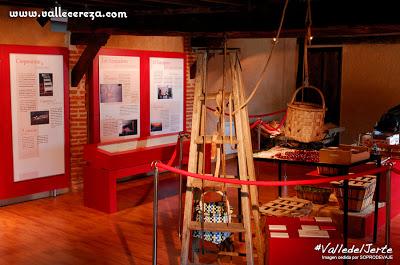 Museo de la Cereza: conoce el fruto de un Valle único