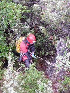 Dos nuevas especies descubiertas en cuevas de Jaén Dos nuevas especies descubiertas en cuevas de Jaén