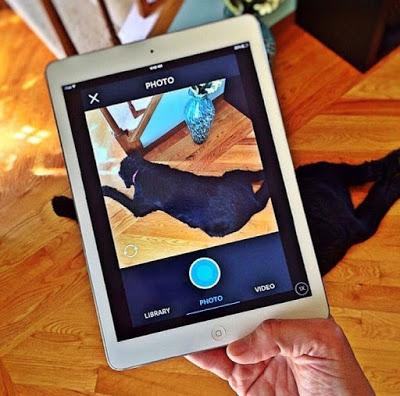 Aplicaciones para Disfrutar Mascota