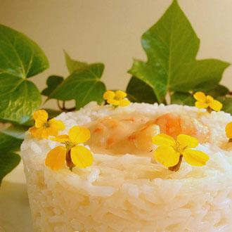 Secretos naturales anti-aging para la longevidad, salud y belleza. Parte 2. La Dieta