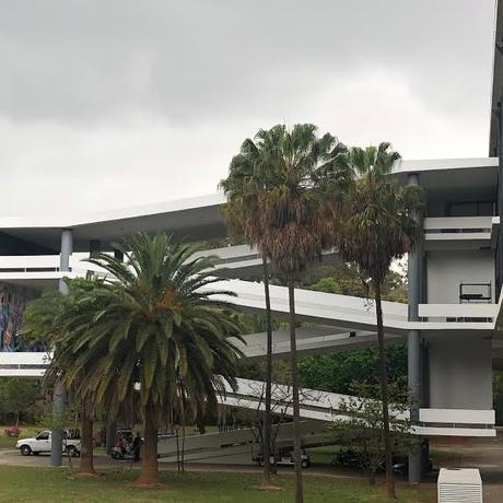 Previa 33 Bienal de San Pablo: fuego, resistencia y amor