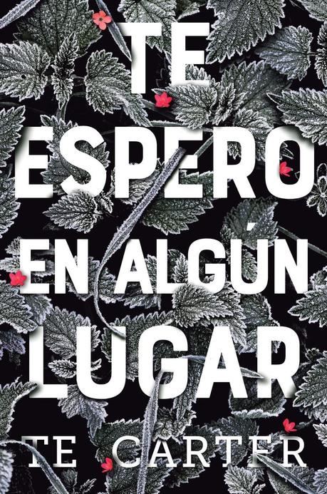 Reseña: Te espero en algún lugar - T.E. Carter