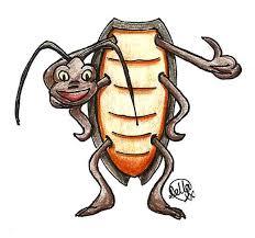 Cosas Que Mucha Gente No Sabe