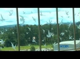 Cosas Que Mucha Gente No Sabe