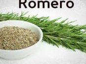 Romero, planta medicinal olor excepcional