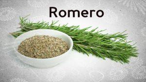 Romero, una planta medicinal con un olor excepcional