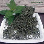 Ortiga ¿Conoces sus beneficios?