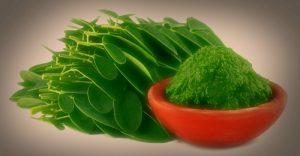 Moringa, un gran aliado para nuestra salud! Moringa, un gran aliado para nuestra salud!