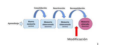 La maleabilidad de los recuerdos