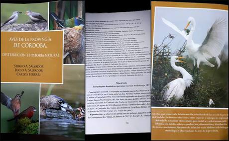 Artículo en Historia Natural y homenaje