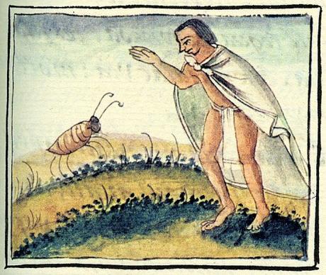 La increíble historia de Francisco Hernández de Toledo 1571…la primera expedición científica de la historia moderna (I)