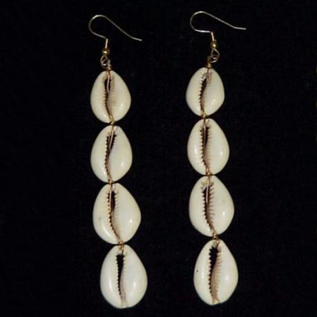 Obsesión por las conchas Obsesión por las conchas