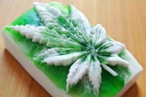 *09 Posibles Razones Por Los Que La Marihuana Debería Ser Legalizada En Todo El Mundo. *09 Posibles Razones Por Los Que La Marihuana Debería Ser Legalizada En Todo El Mundo.