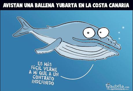 [SONRÍA, POR FAVOR] Un toque de humor para hoy viernes, 7 de septiembre