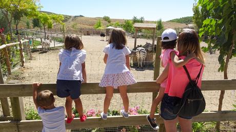 Sendaviva con niños: un fin de semana ideal en familia