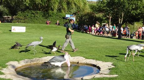 Sendaviva con niños: un fin de semana ideal en familia