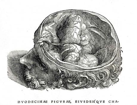 La increíble historia de Francisco Hernández de Toledo 1571…la primera expedición científica de la historia moderna (II)