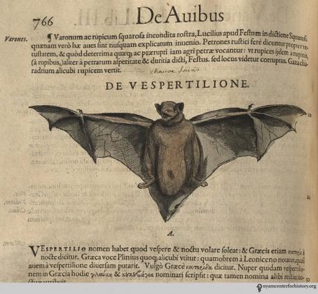 La increíble historia de Francisco Hernández de Toledo 1571…la primera expedición científica de la historia moderna (II)