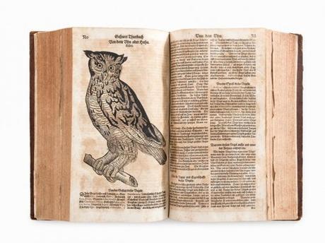 La increíble historia de Francisco Hernández de Toledo 1571…la primera expedición científica de la historia moderna (II)