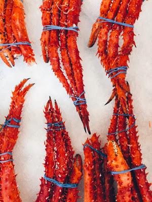 El síndrome de la vida de mierda.   Shit-life Syndrome