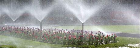 New Ray Lusk Plumbing