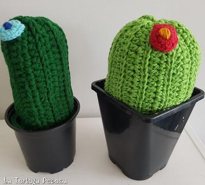 GEMELIERS CACTUS