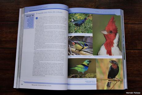 Manual del Observador de Aves