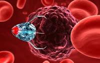 Prueban el Primer Fármaco en el Mundo que bloquea las Metatastasis