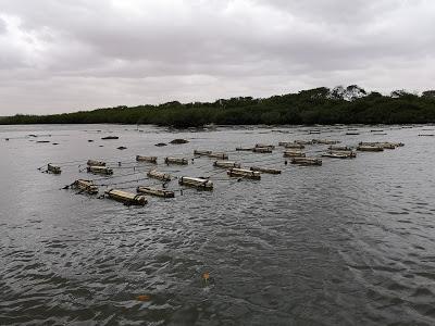 Día 13: No hay turistas en la costa (9/8/18) #FamilySenegal18