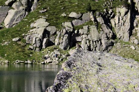 Queda todo Queda todo