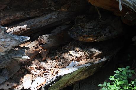 Queda todo Queda todo