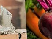 Cemento ecológico Remolachas Zanahorias