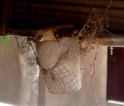 Día 14: A propósito de baobabs sagrados para volver (10/8/18) #FamilySenegal18