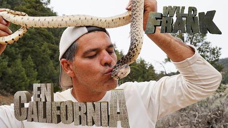 Wild Frank - DMAX Wild Frank - DMAX