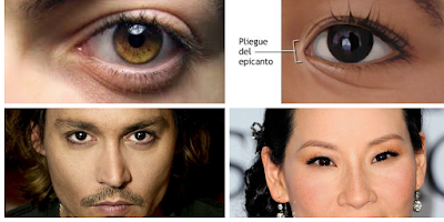 Cómo describir los ojos de los personajes asiáticos. 14 ejemplos útiles