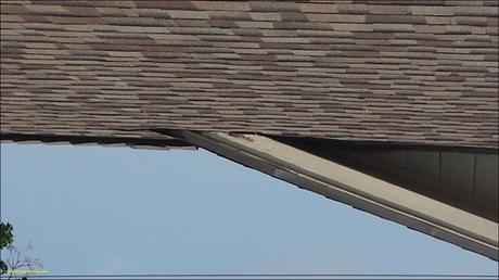 Awesome Berryman Roofing