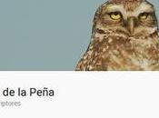 Canales videos aves argentinas recomendados