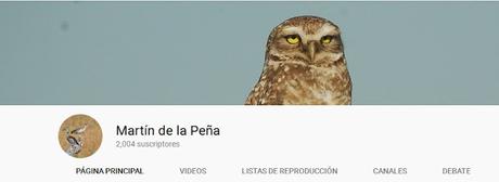 Canales de videos de aves argentinas recomendados