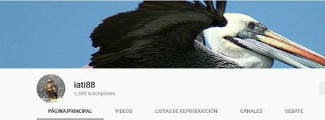 Canales de videos de aves argentinas recomendados