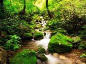 Caminando arroyo. Poema Ven. Choui
