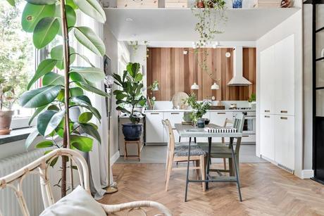 piso sueco pared de cristal estilo nórdico con plantas decoración recargada decoración pisos pequeños decoración escandinava   