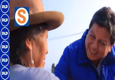 SEGURIDAD Y UNA HOJA DE RUTA PROMOTORA DEL DESARROLLO ORGANIZADO…