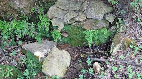 De Capafonts al Gorg de Les Fous | Tarragona