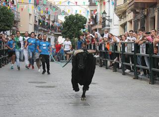 EL TORO DE CUERDA DE CARCABUEY RATIFICA EL AUGE DE LOS FESTEJOS POPULARES EL TORO DE CUERDA DE CARCABUEY RATIFICA EL AUGE DE LOS FESTEJOS POPULARES