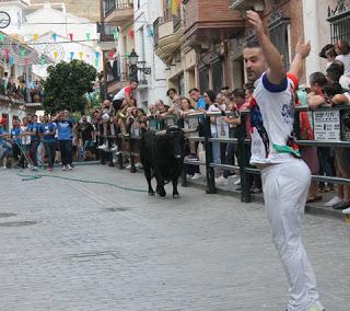 EL TORO DE CUERDA DE CARCABUEY RATIFICA EL AUGE DE LOS FESTEJOS POPULARES EL TORO DE CUERDA DE CARCABUEY RATIFICA EL AUGE DE LOS FESTEJOS POPULARES